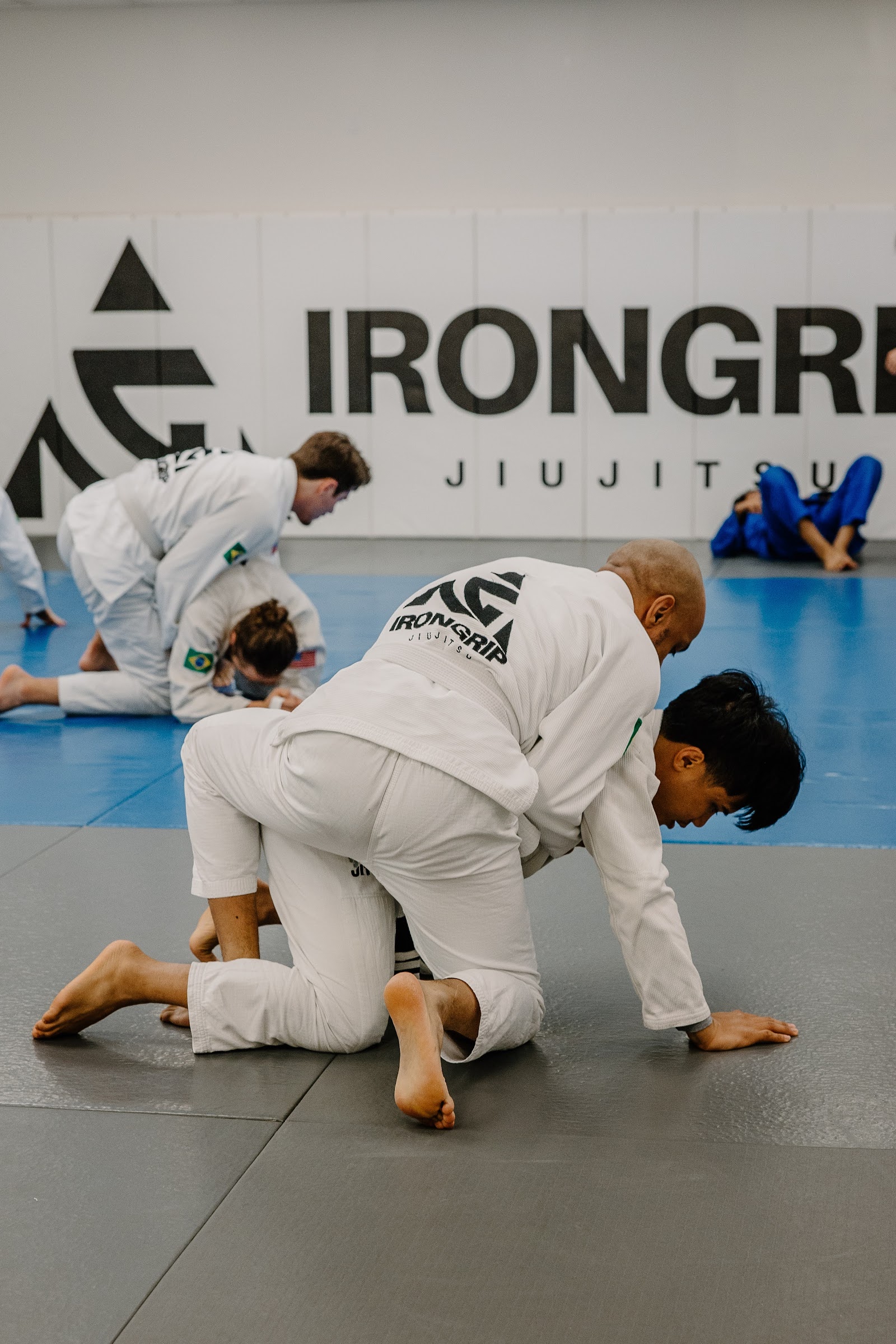 Adult Jiu Jitsu